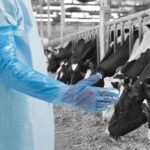 Vienreizlietojamie polietilēna cimdi Polyco GL2950, zilas, iepakojumā, L (100 gab.) - Image 3